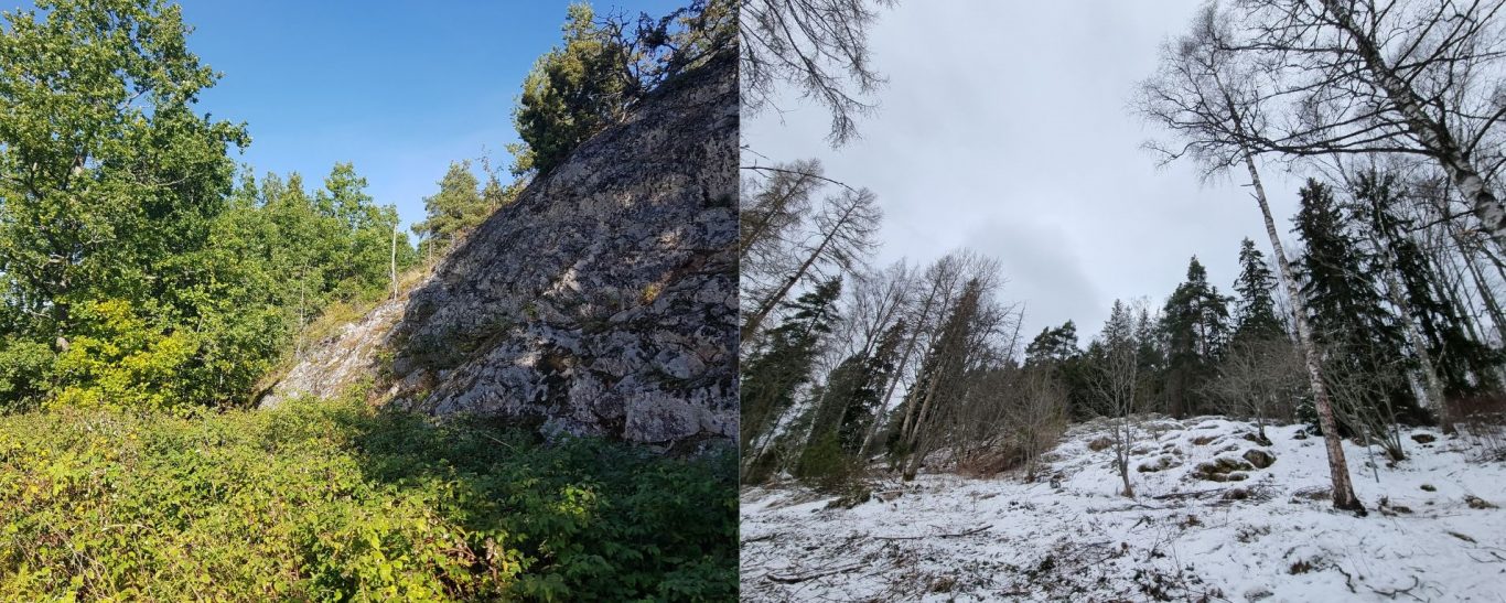 Kallioketo kesällä ja talvella. Kesällä vihreät vadelmat ympäröivät tilaa, talvella kallio on lumen alla ja puita ja alikasvua on hieman harvennettu.
