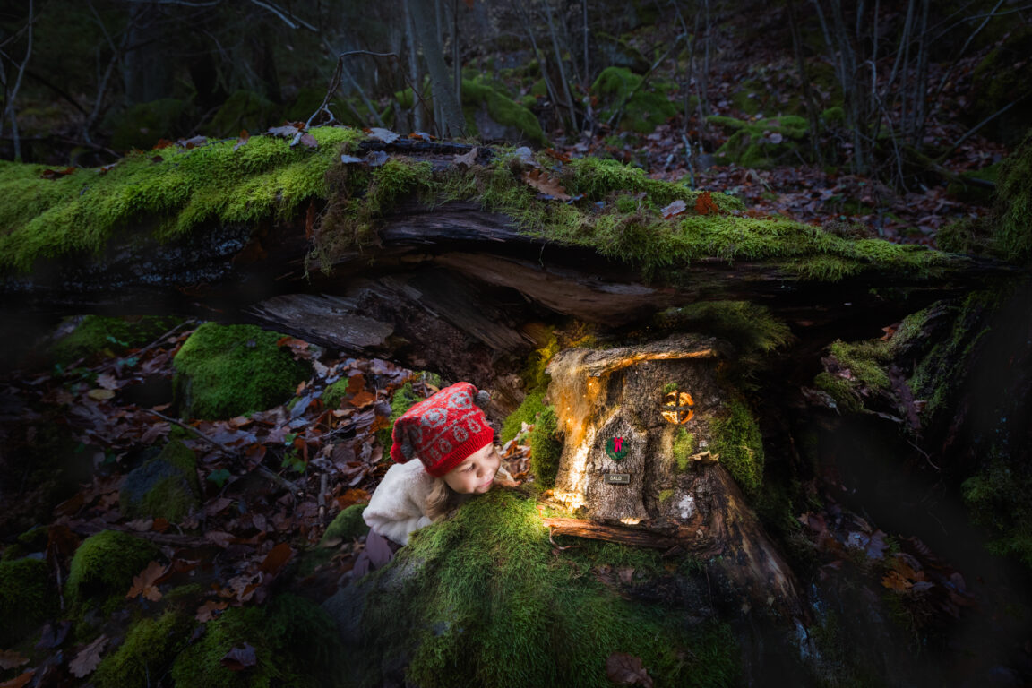 Tonttu kurkkaa tonttuovesta metsässä.